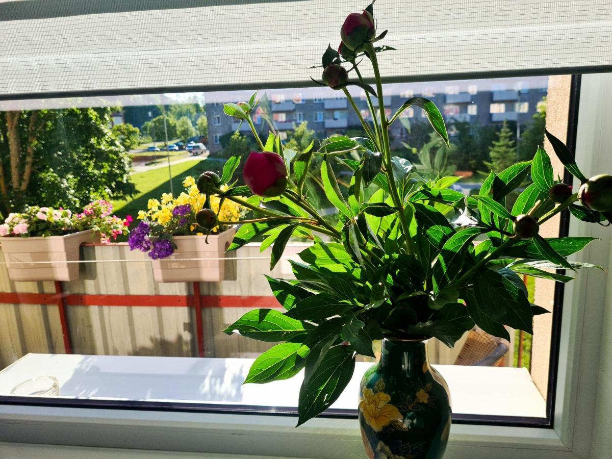 Crystal Apartment Gulbene